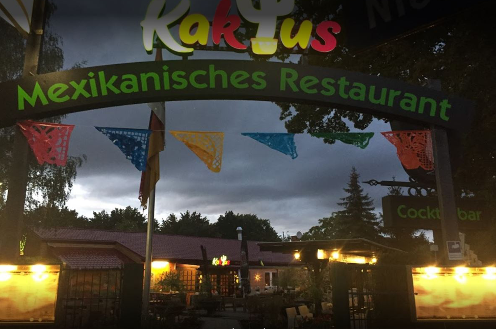 welcome to kaktus